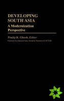 Developing South Asia
