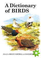 Dictionary of Birds