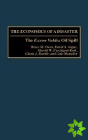 Economics of a Disaster