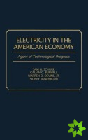 Electricity in the American Economy