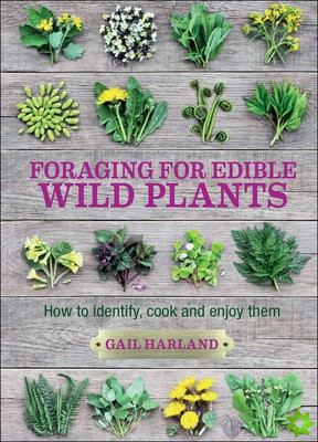 Foraging for Edible Wild Plants