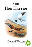 Hen Harrier
