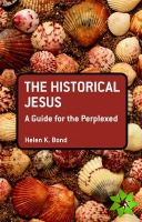 Historical Jesus: A Guide for the Perplexed