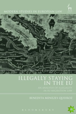 Illegally Staying in the EU
