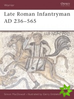 Late Roman Infantryman AD 236565