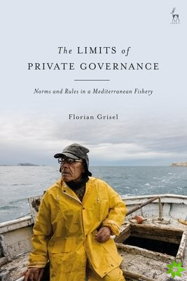 Limits of Private Governance