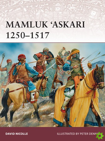 Mamluk Askari 12501517