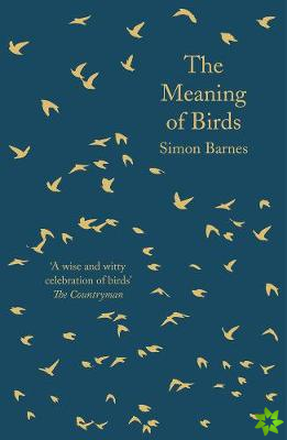 Meaning of Birds
