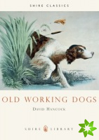 Old Working Dogs