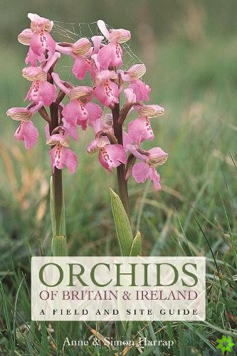 Orchids of Britain and Ireland