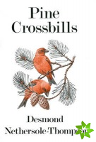 Pine Crossbills