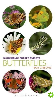 Pocket Guide to Butterflies