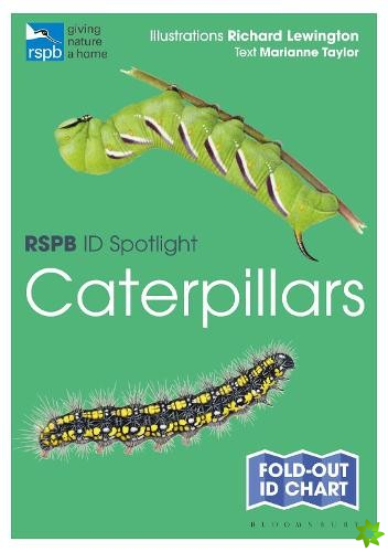 RSPB ID Spotlight - Caterpillars