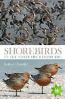 Shorebirds of the Northern Hemisphere