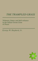 Trampled Grass