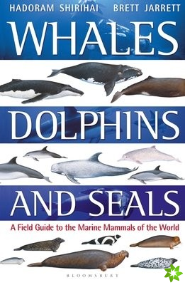 Whales, Dolphins and Seals
