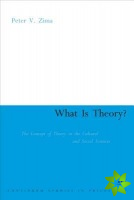 What is Theory?