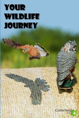 Your Wildlife Journey