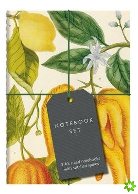 Botanical Art Notebook Set