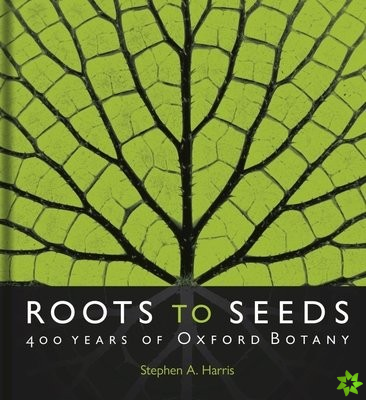 Roots to Seeds