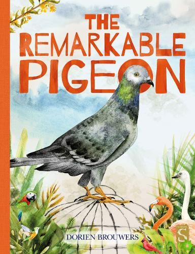 Remarkable Pigeon