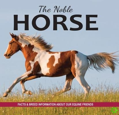 Noble Horse