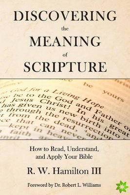 Discovering the Meaning of Scripture