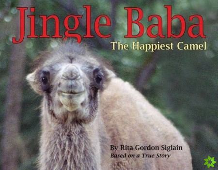 Jingle Baba, The Happiest Camel