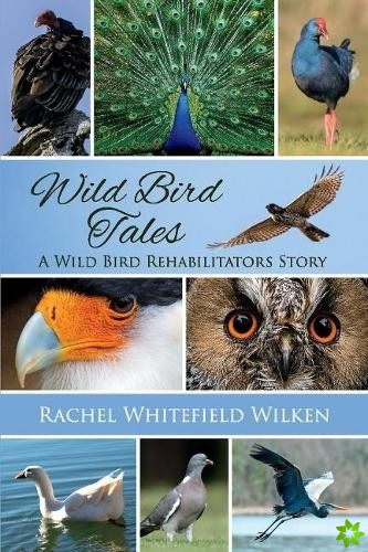 Wild Bird Tales