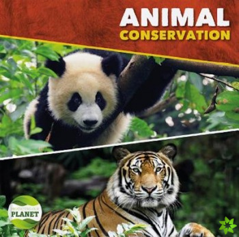 Animal Conservation
