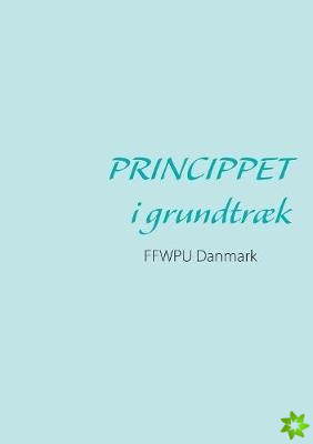 Princippet I Grundtraek