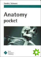 Anatomy Pocket