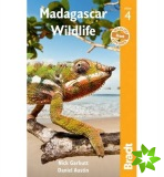 Madagascar Wildlife