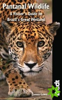Pantanal Wildlife