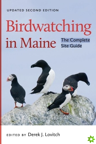 Birdwatching in Maine