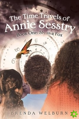 Time Travels of Annie Sesstry