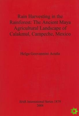 Rain Harvesting in the Rainforest: The Ancient Maya Agricultural Landscape of Calakmul, Campeche, Mexico