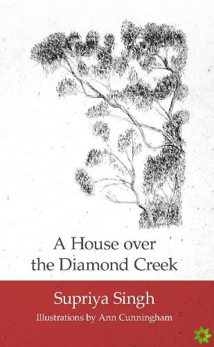 House Over Diamond Creek