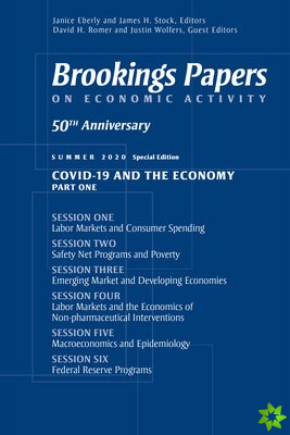 Brookings Papers on Economic Activity: Summer 2020