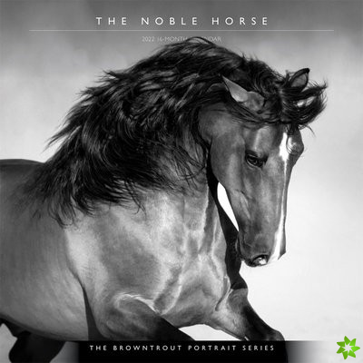 HORSE THE NOBLE THE BROWNTROUT PORTRAIT