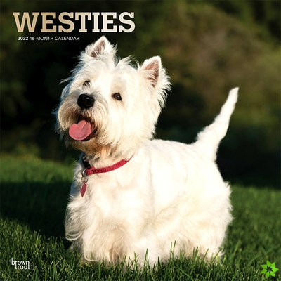 WEST HIGHLAND WHITE TERRIERS 2022 SQUARE