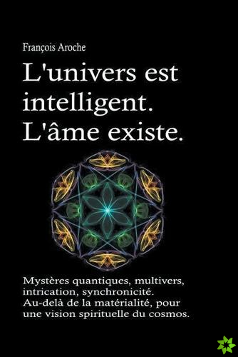 L'univers est intelligent. L'ame existe. Mysteres quantiques, multivers, intrication, synchronicite. Au-dela de la materialite, pour une vision spirit