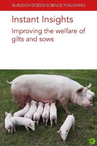 Instant Insights: Improving the Welfare of Gilts and Sows