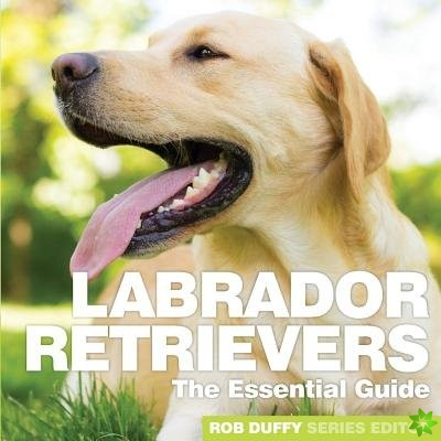 Labrador Retrievers