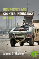 Insurgency and Counter-Insurgency in Iraq