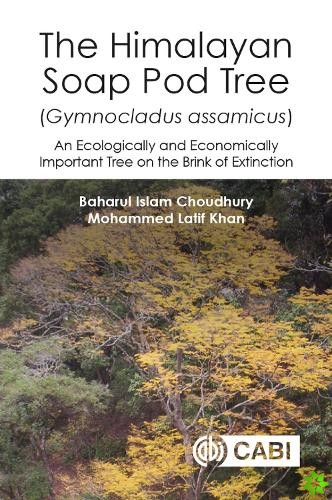 Himalayan Soap Pod Tree (Gymnocladus assamicus), The