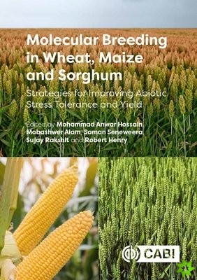 Molecular Breeding in Wheat, Maize and Sorghum
