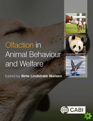 Olfaction in Animal Behaviour and Welfare