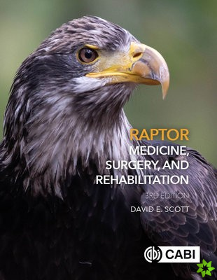 Raptor Medicine, Surgery, and Rehabilitation