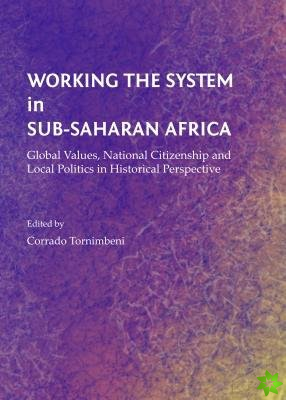 Working the System in Sub-Saharan Africa